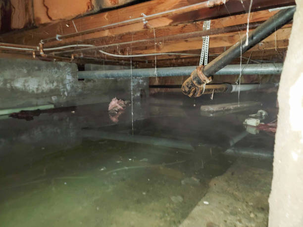 Best Water damage restoration near me  in West Hempstead, NY