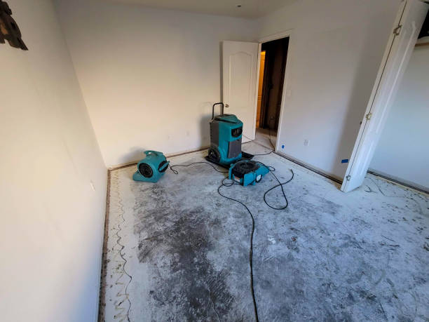 Best Local water damage restoration  in West Hempstead, NY