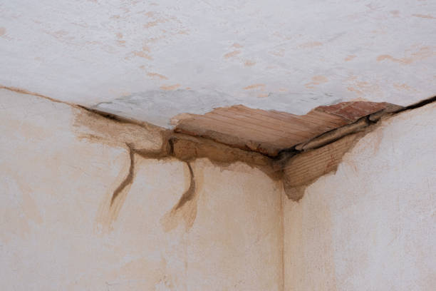 Best Mold removal after water damage  in West Hempstead, NY