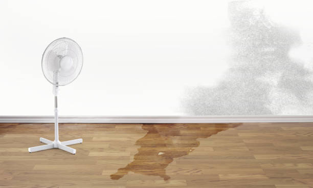 Best Water damage contractors near me  in West Hempstead, NY