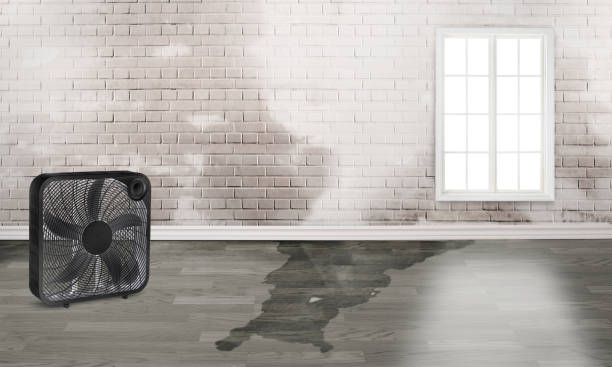 Best Flood damage cleanup  in West Hempstead, NY