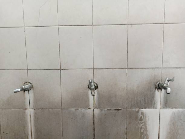 Best 24/7 water damage repair  in West Hempstead, NY