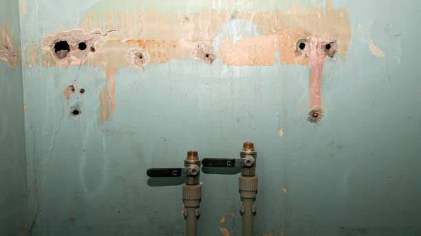 Best Professional water damage repair  in West Hempstead, NY