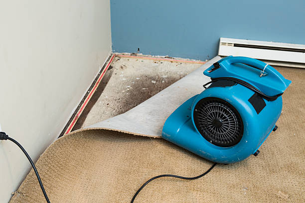  West Hempstead, NY Water damage restoration Pros